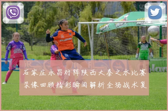 石家庄永昌对阵陕西大秦之水比赛录像回顾精彩瞬间解析全场战术复盘
