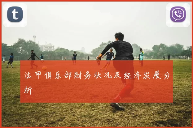 法甲俱乐部财务状况及经济发展分析