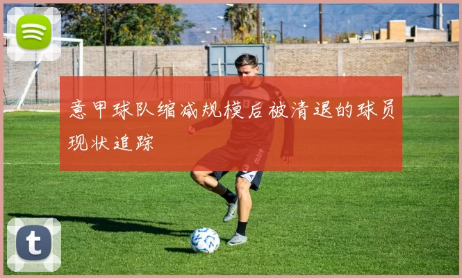意甲球队缩减规模后被清退的球员现状追踪