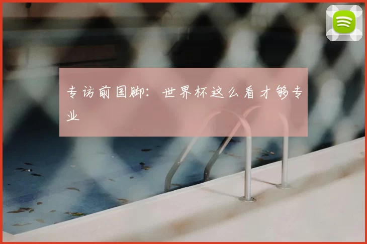 专访前国脚：世界杯这么看才够专业