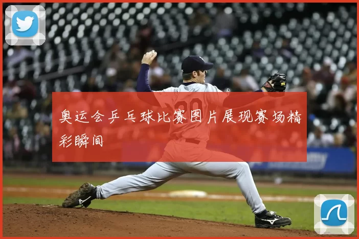 奥运会乒乓球比赛图片展现赛场精彩瞬间