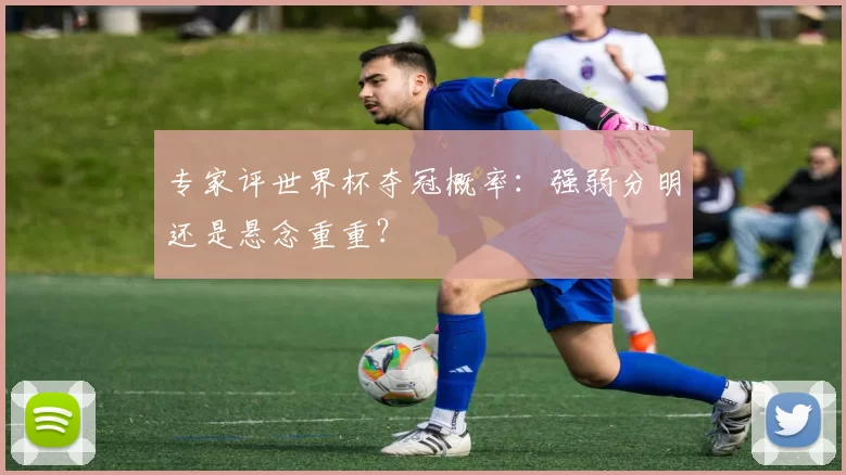 专家评世界杯夺冠概率：强弱分明还是悬念重重？
