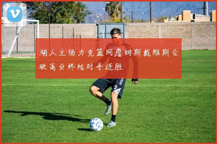 湖人主场力克篮网詹姆斯戴维斯合砍高分终结对手连胜