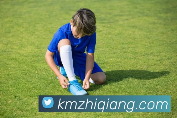 企业概况